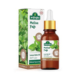 Arifoglu | Lemon Balm Oil - TryAladdin